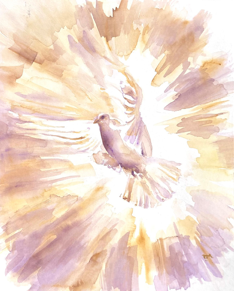 Holy Ghost Watercolor, Dove 