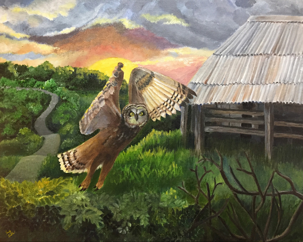 Owl hunting at sunset on pea ridge