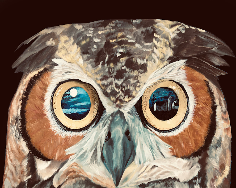 Wisconsin Nights In The Eyes Of An Owl  Art | Judy's Art Co.