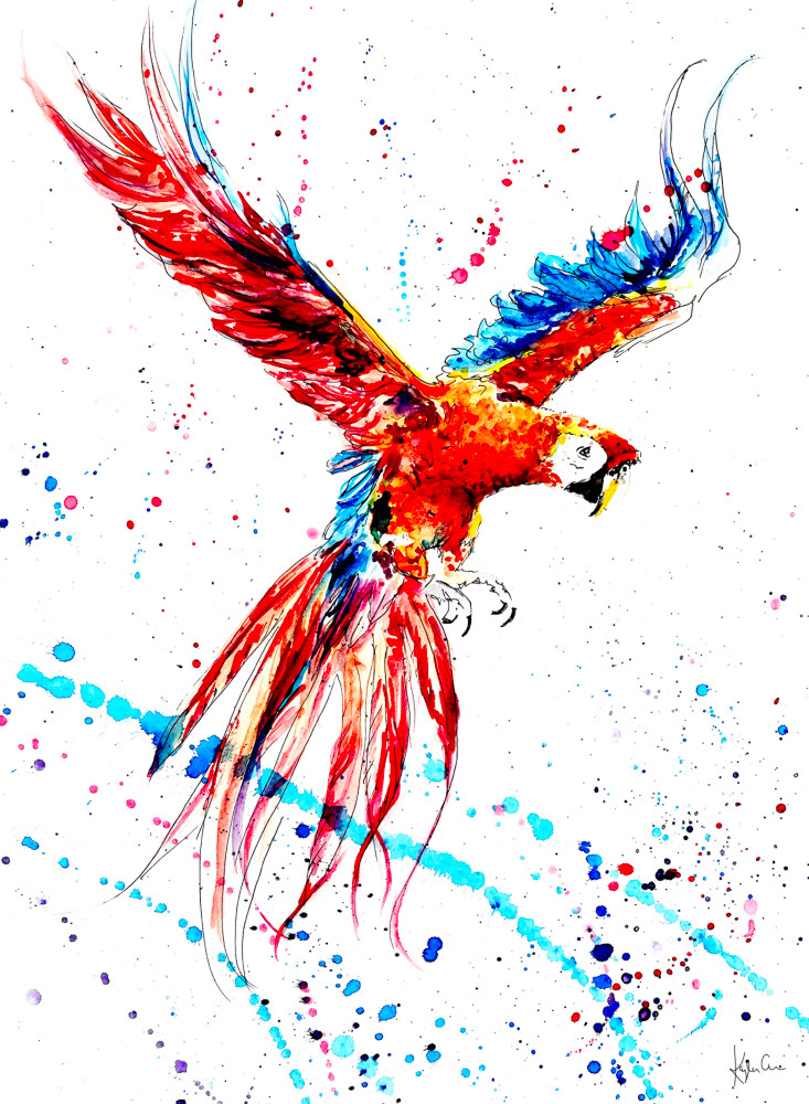 Macaw Art | Kayla Grace Art