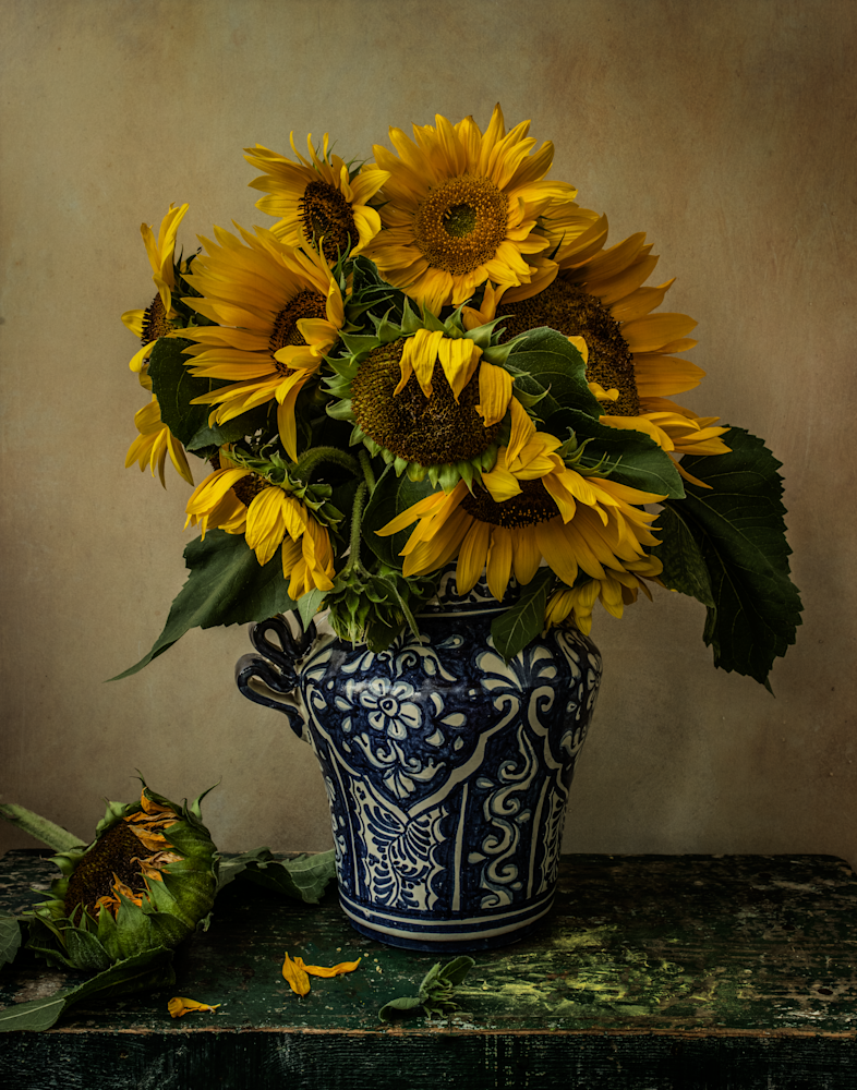 Sunflowers | No Border Photography Art | The Elliott Homestead, Inc.