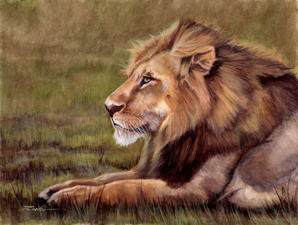 Ed Roeder   Lion In The Grass Art | Castle by Design