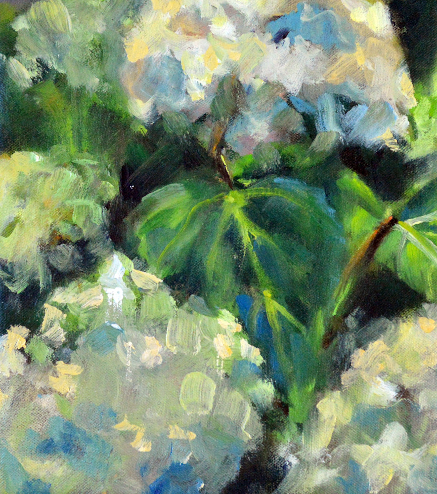 Catskill Hydrangeas Art | Meghan Taylor Art
