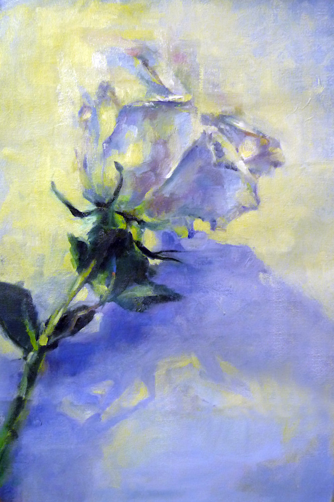 White Rose Art | Meghan Taylor Art