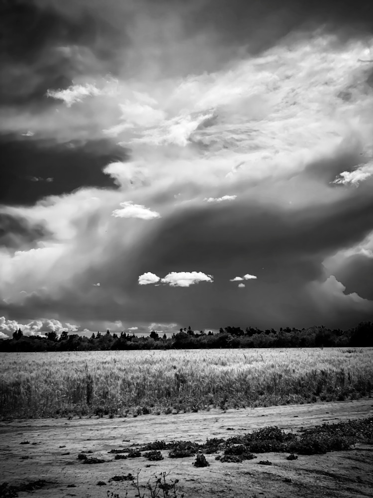 A Spring storm front brings scattered clouds to Yolo County, California farm fields.