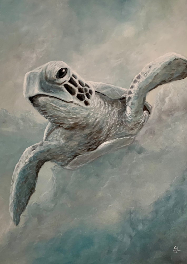 Sea Turtle’s Journey  Art | Sunscapes Art 