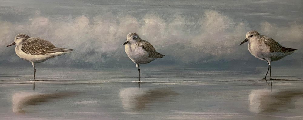 Waiting, an Original Painting by Joseph Cantin of Three Sandpipers