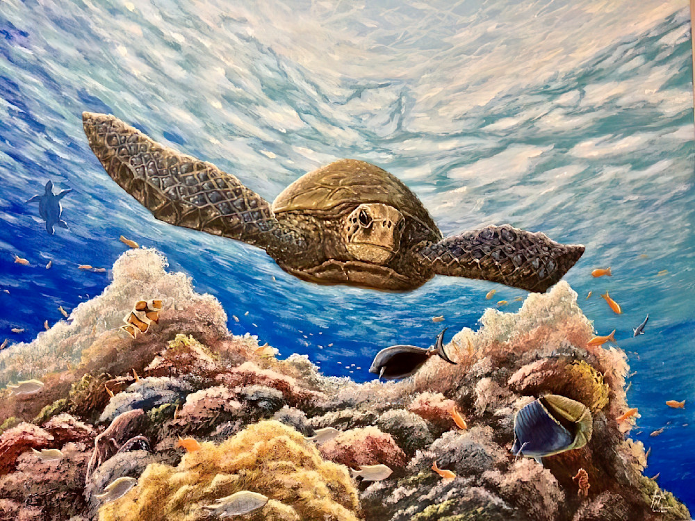 Sea Turtle’s Coral, an Original Painting by Joseph Cantin