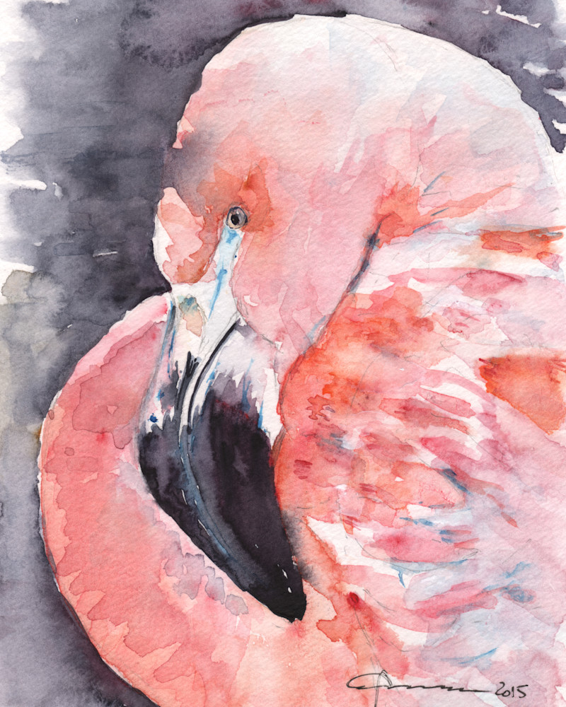 Flamingo 1 Art | Claudia Hafner Watercolor