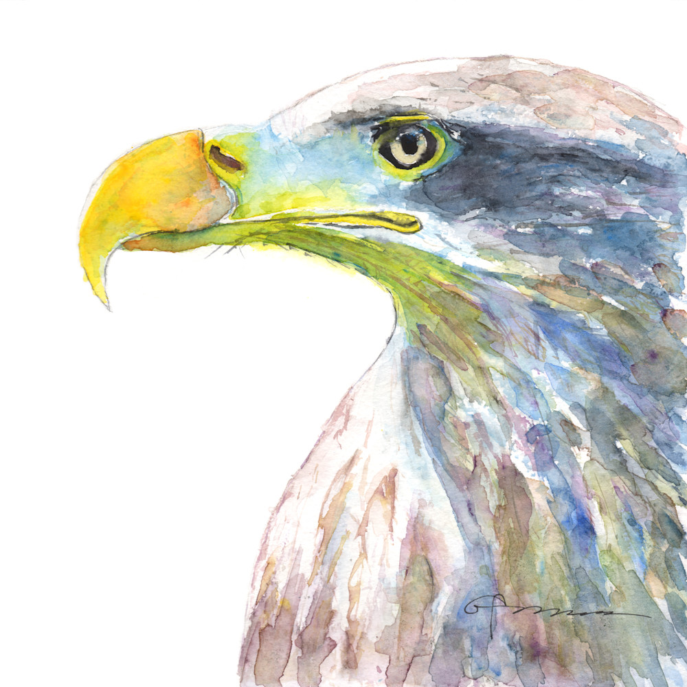 Eagle in Soft Hues Watercolor Print | Claudia Hafner Watercolor

