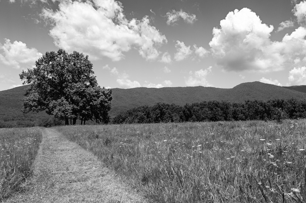 Cades Cove In The Smokies Print