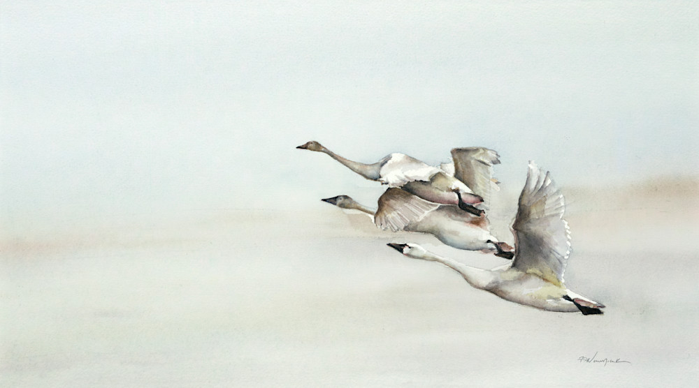 Swan Flight Art | betsynaumchik