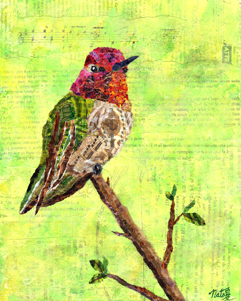 Jewels Of The Sky: Anna's Hummingbird Art | Poppyfish Studio
