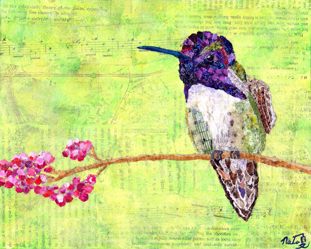 Jewels Of The Sky: Costa's Hummingbird Art | Poppyfish Studio