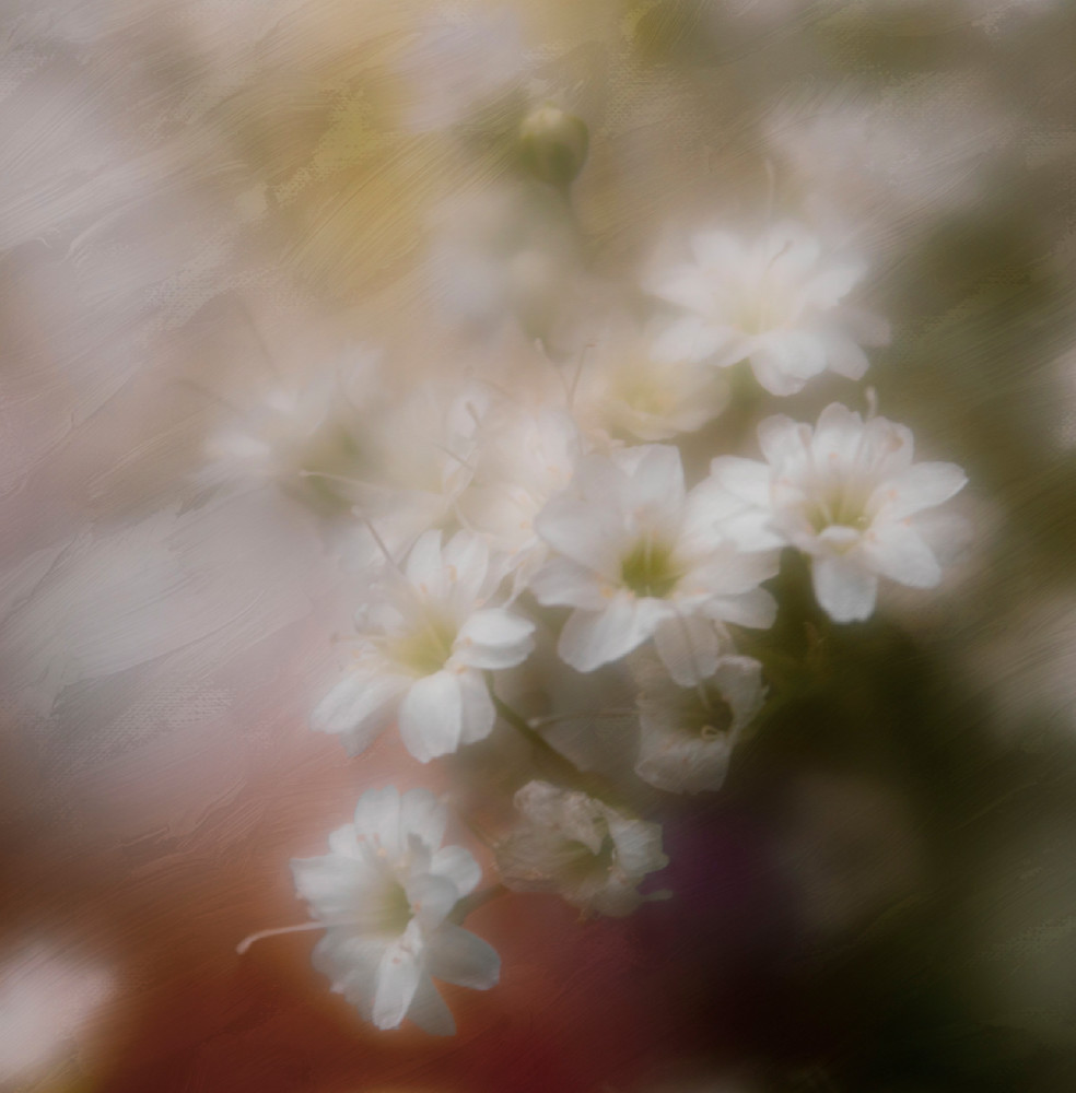 B Breath 1 Copy Photography Art | RobertRedstone