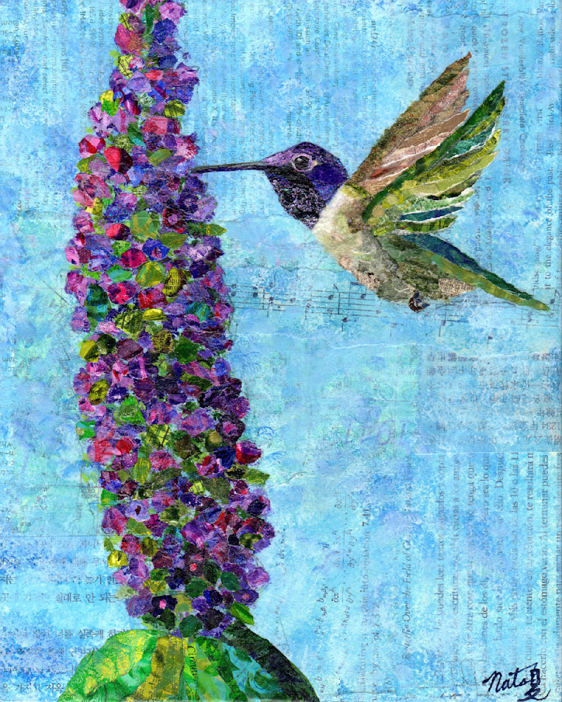 Jewels Of The Sky: Black Chinned Hummingbird Art | Poppyfish Studio