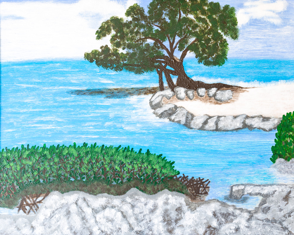 Cedar Watchkeeper Of The Florida Keys Art | Art With Feeling
