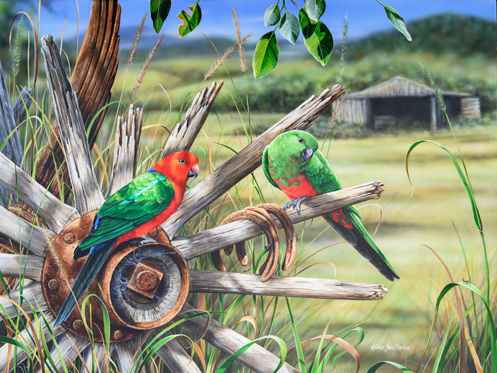 Australian King Parrots (Alisterus scapularis) Australian Wildlife Art by Natalie Jane Parker