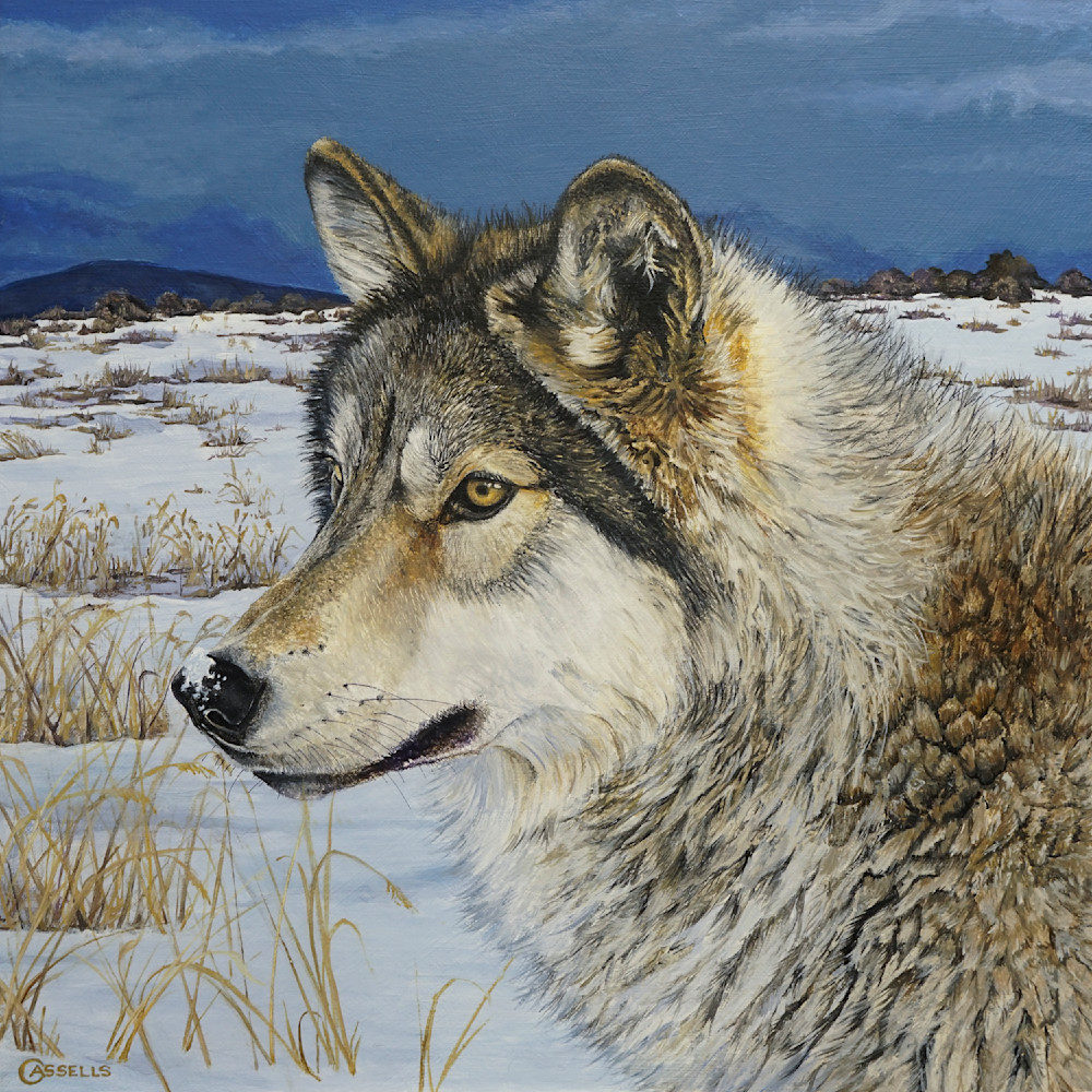 Prairie Watch Wolf Painting Art Print by Laara Cassells