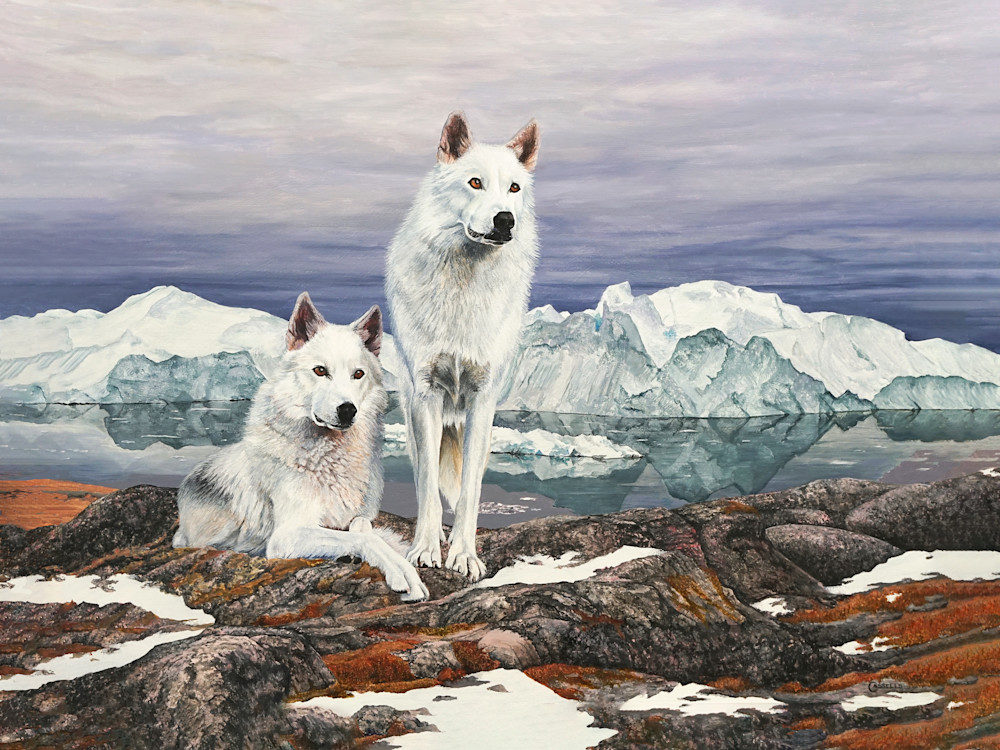 On The Look Out Wolf Art Print by Laara Cassells