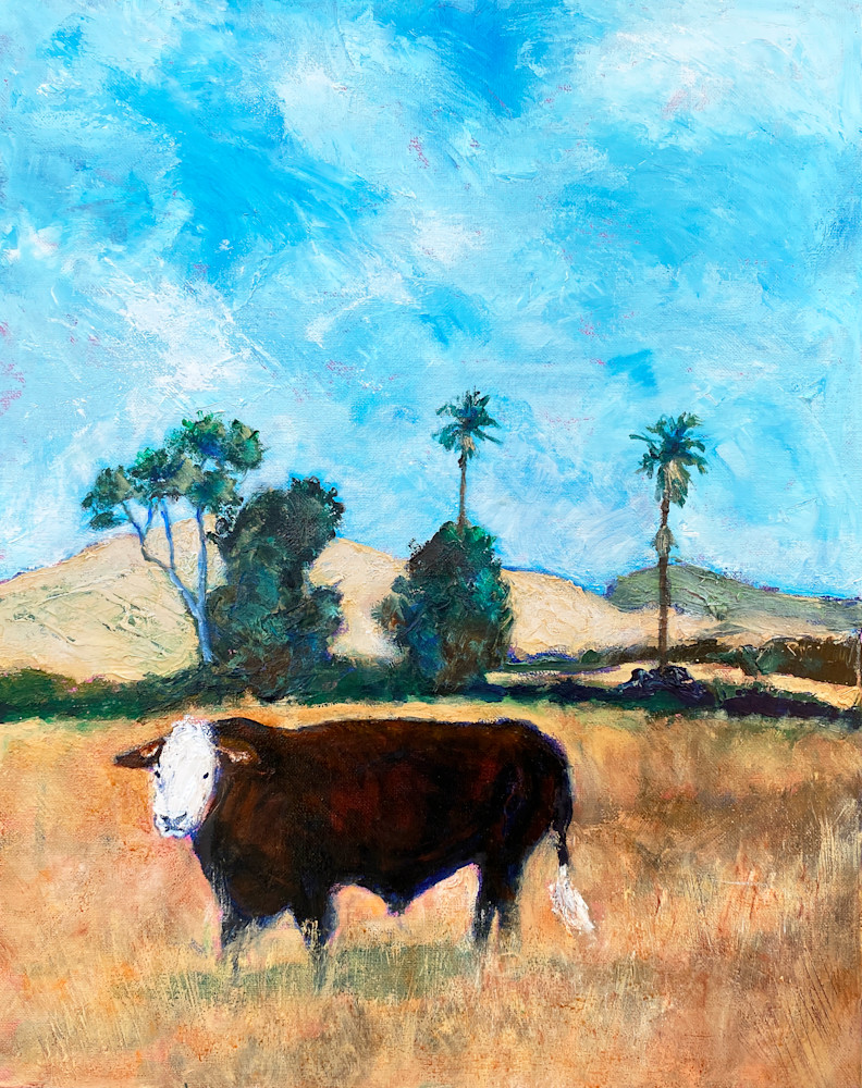 A bull gazes at an observer beneath the Yolo County, California sun.