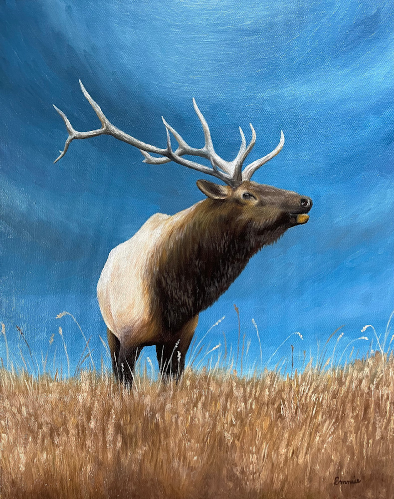 Elk On Ridge Art | Art by Emmie