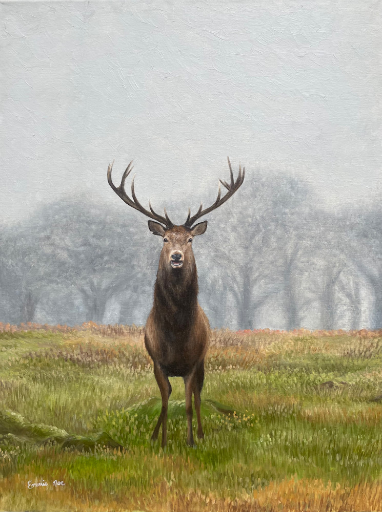 Elk In Field Art | Art by Emmie