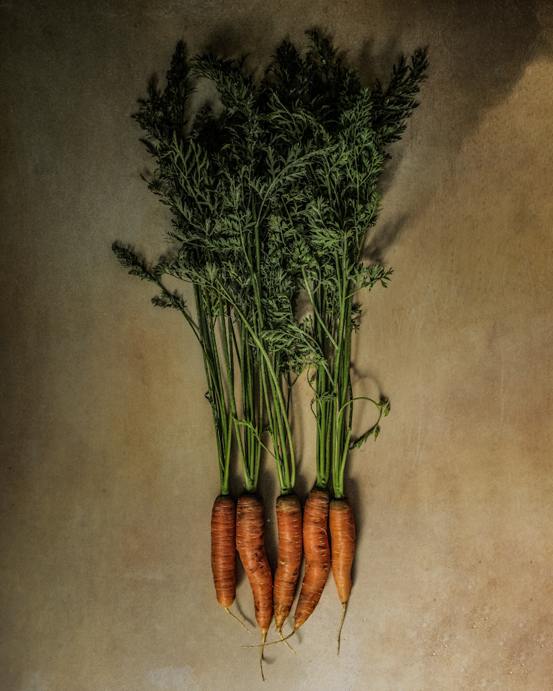 Victorian Vegetables: Bolero Carrots Photography Art | The Elliott Homestead, Inc.