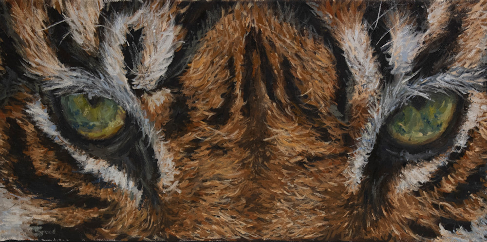 Intense Tiger Eyes Prints Art | Teresa Gooldy Art