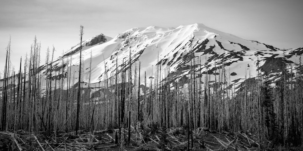 Summer Evening Light on Mt Adams, Washington, 2022