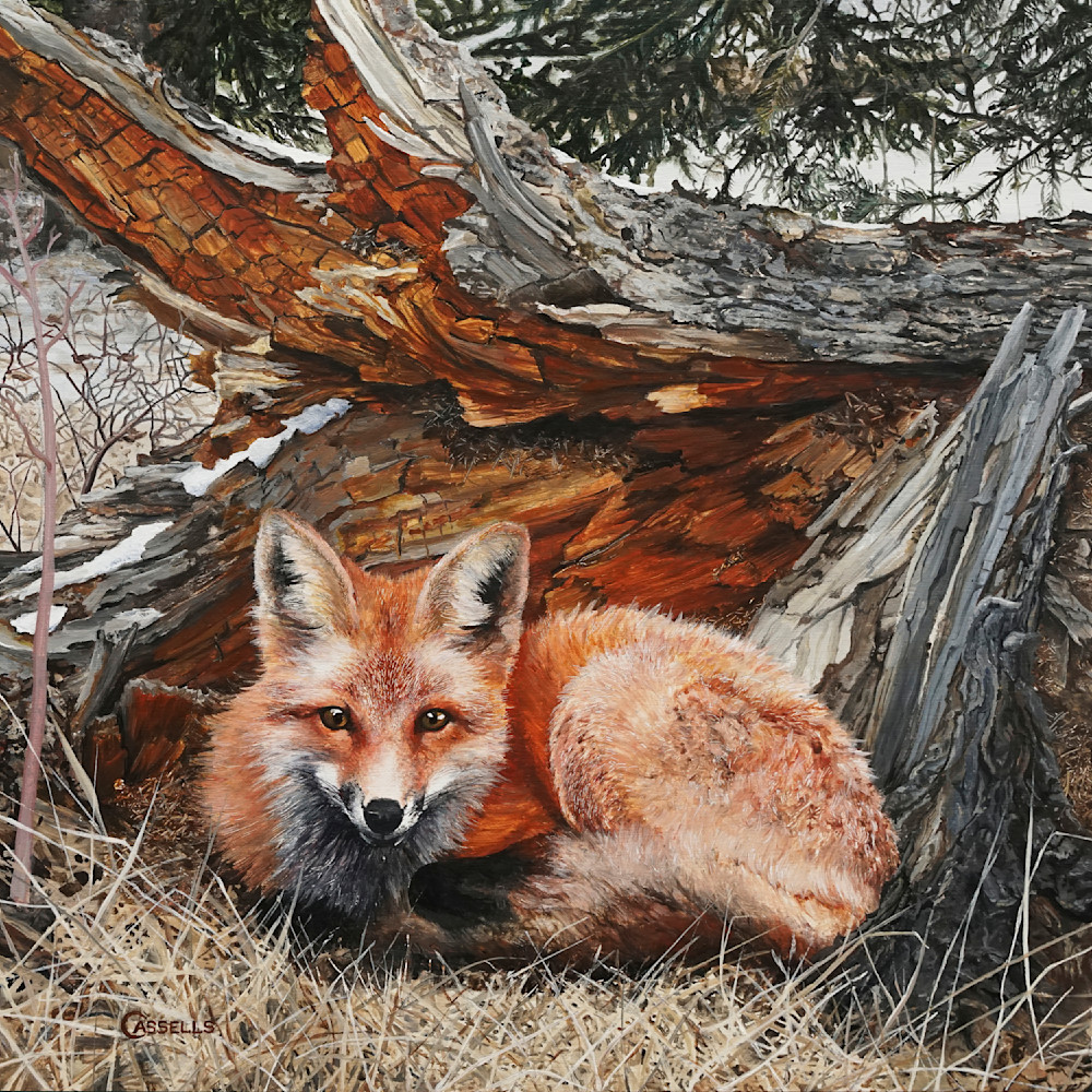 Hiding Out Red Fox Painting Art Print by Laara Cassells