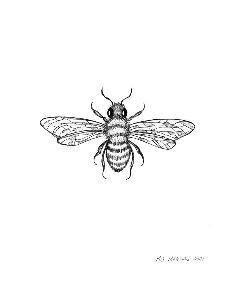 Bee Art | Morgan Trading Company