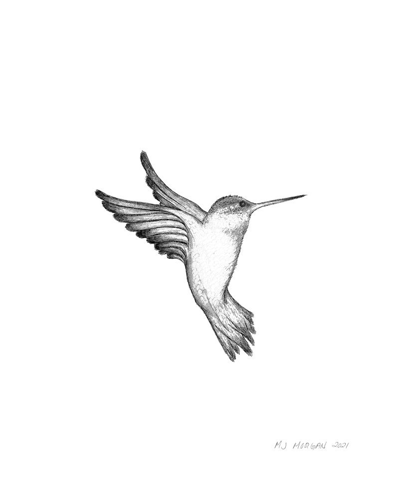Hummingbird Art | Morgan Trading Company