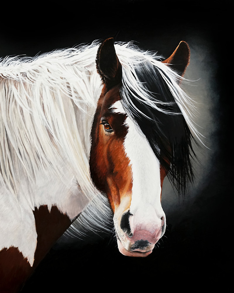 Fabian Gypsy Vanner Horse Painting Art Print by Laara Cassells