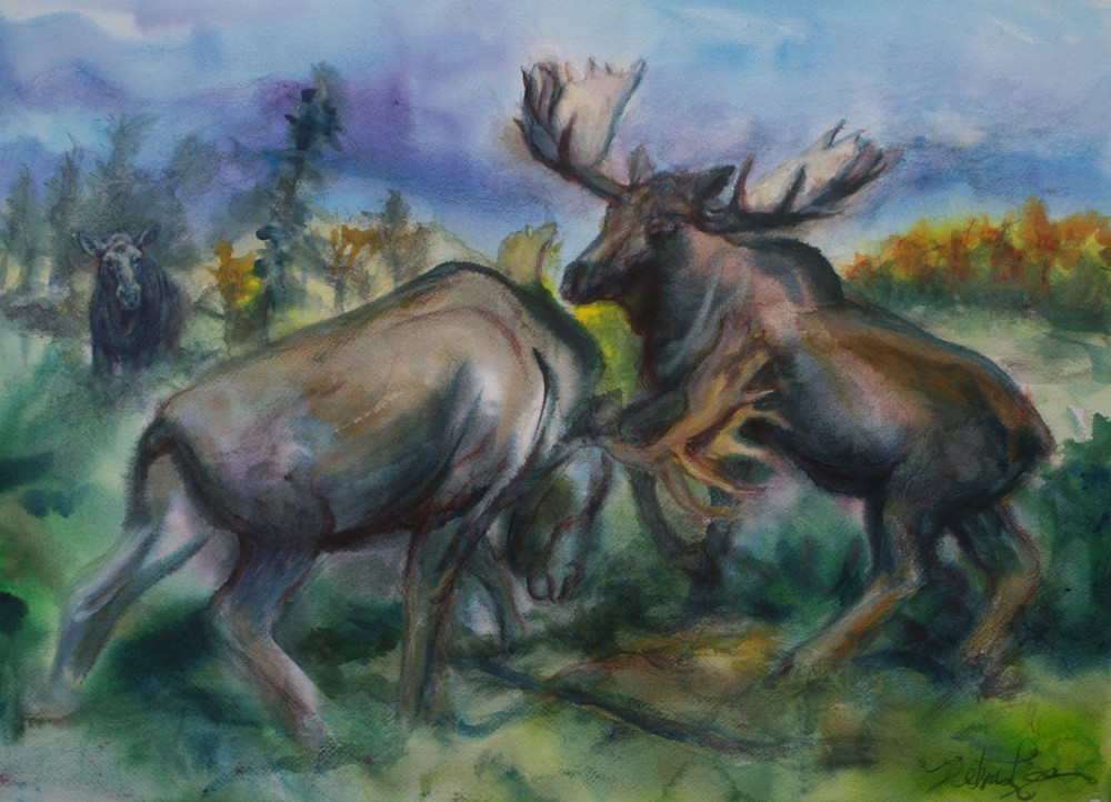 Moose Fighting Art | Debra Lee's Art