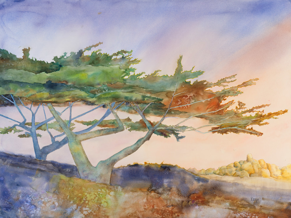 Cypress in Morning Light