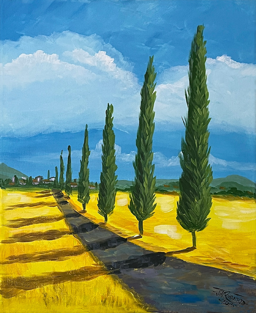 Cypress trees stand guard in Tuscan wine country