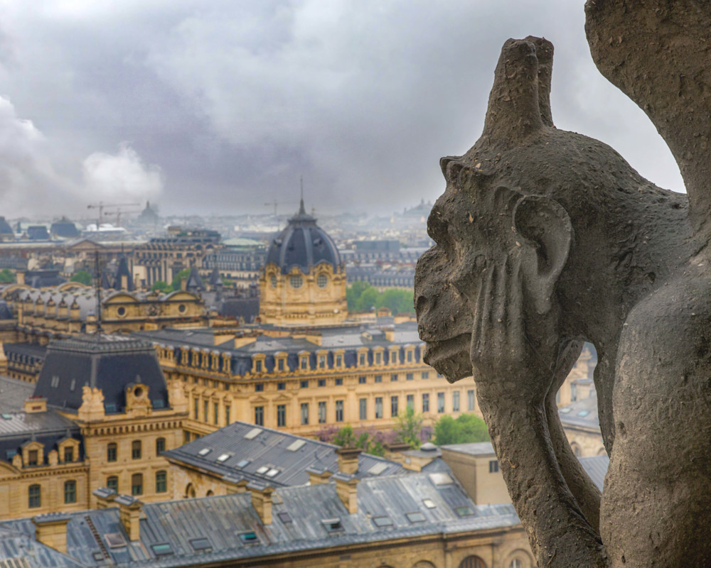 Notre Dame Gargoyles | Landscape Photography | Tim Truby
