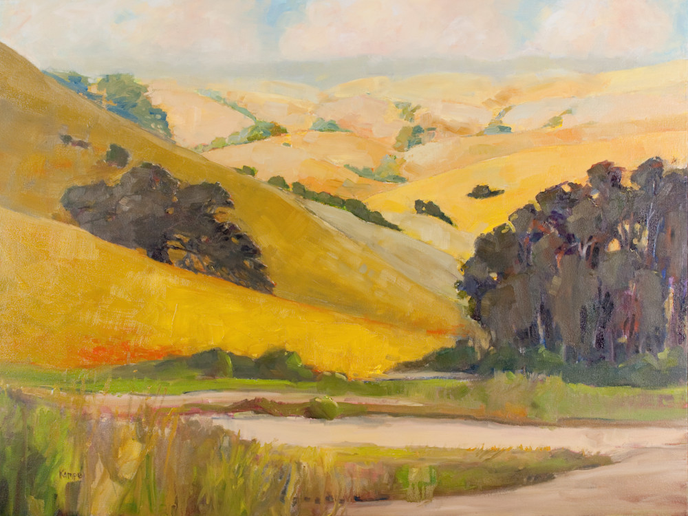 Eucalyptus Grove