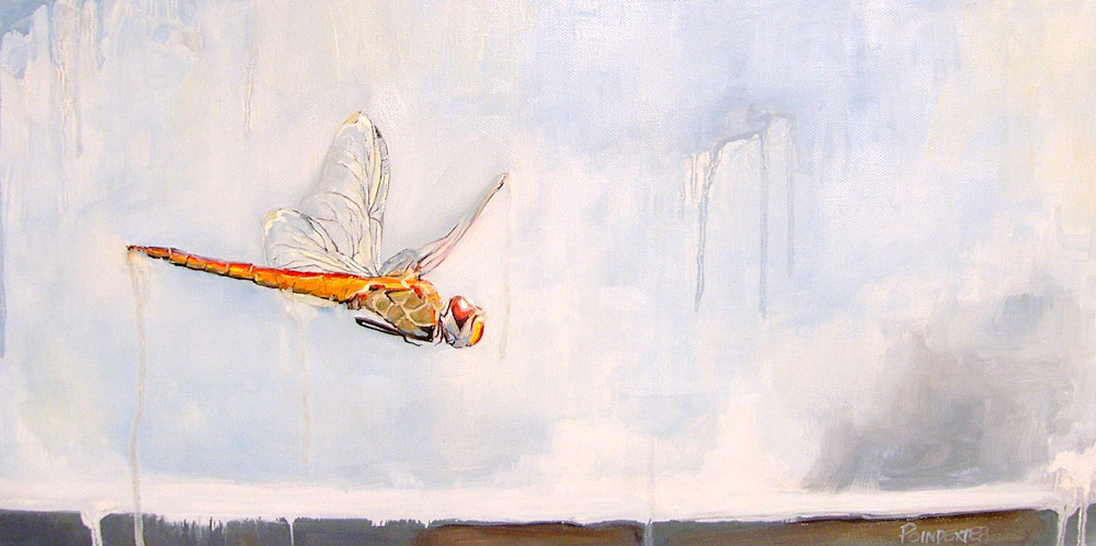 SAMSUNG DIGITAL CAMERA