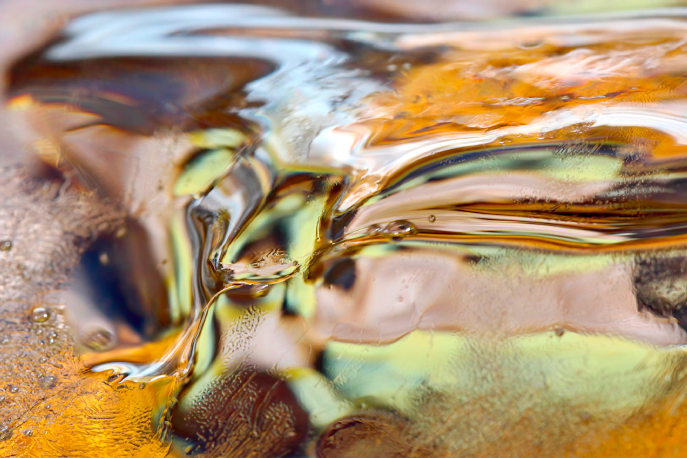 Macro Iced Wonder; images of distinction / Susan Rangitsch Photography