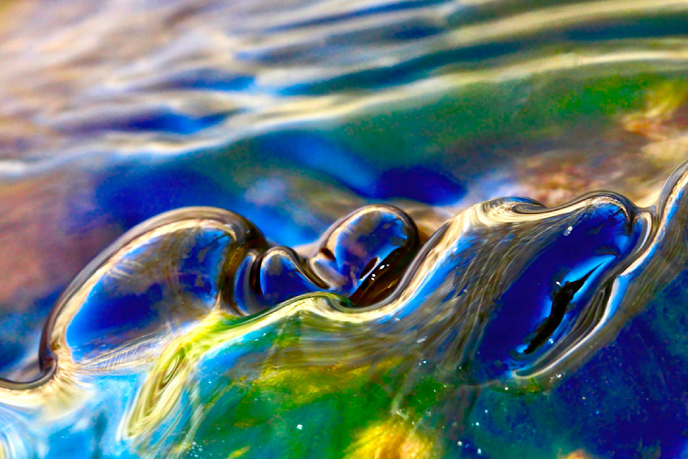 Macro Barely Seen; photos of distinction / Susan Rangitsch Photography