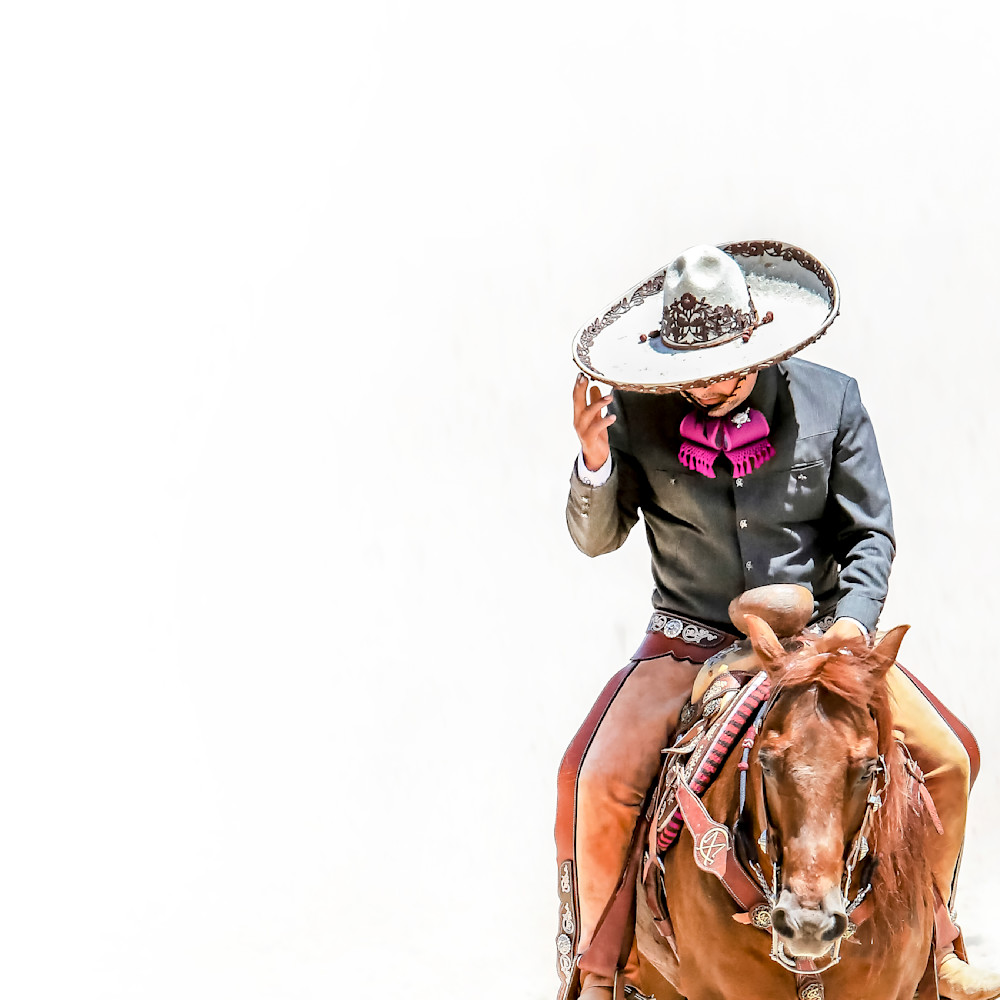Corbata Rosa Photography Art | liliannastory