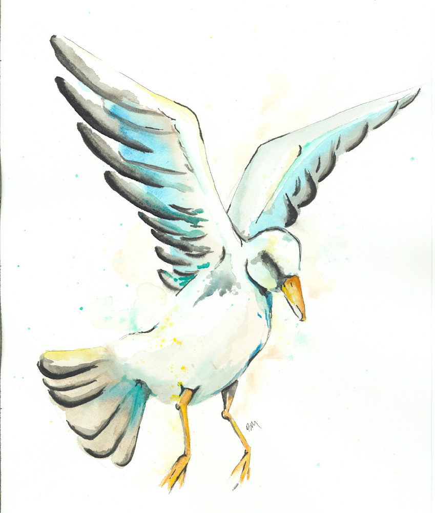Bm Seagull Art | Art With Judy Ann