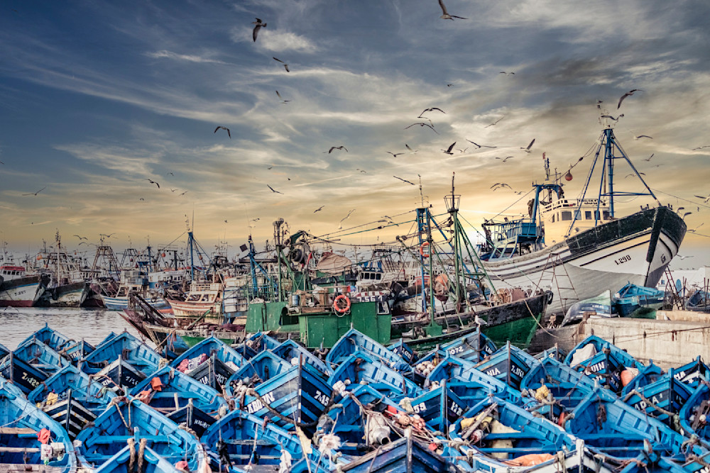Essaouira Harbor Photography Art | Patricia Claire Photography
