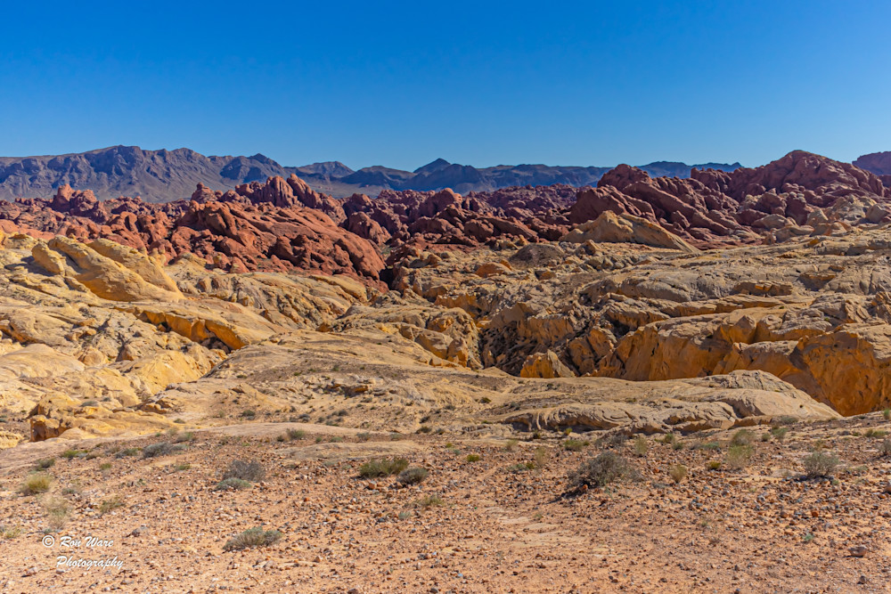 Valley Of Fire #2 Art | Ron Ware Photography