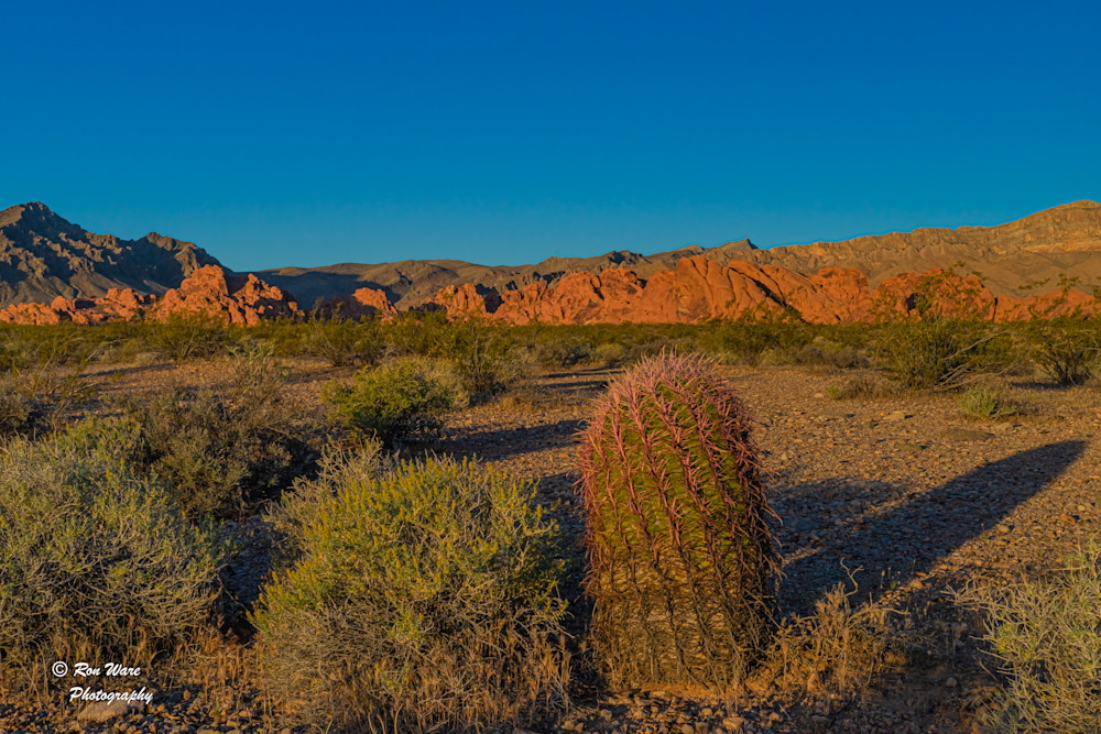 Valley Of Fire Sunrise Art | Ron Ware Photography