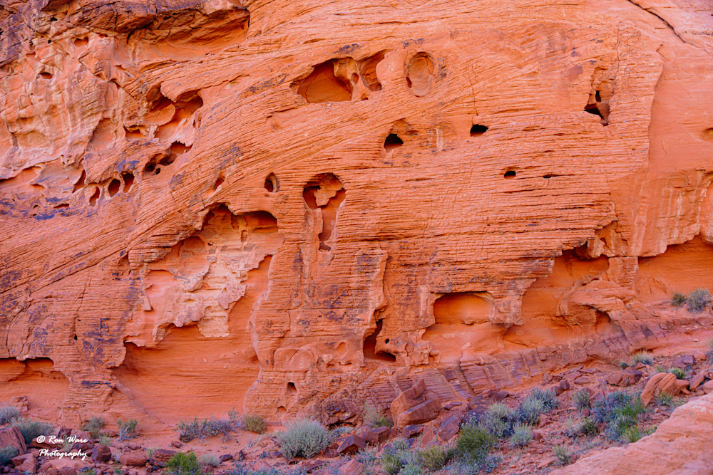 Valley Of Fire #3 Art | Ron Ware Photography