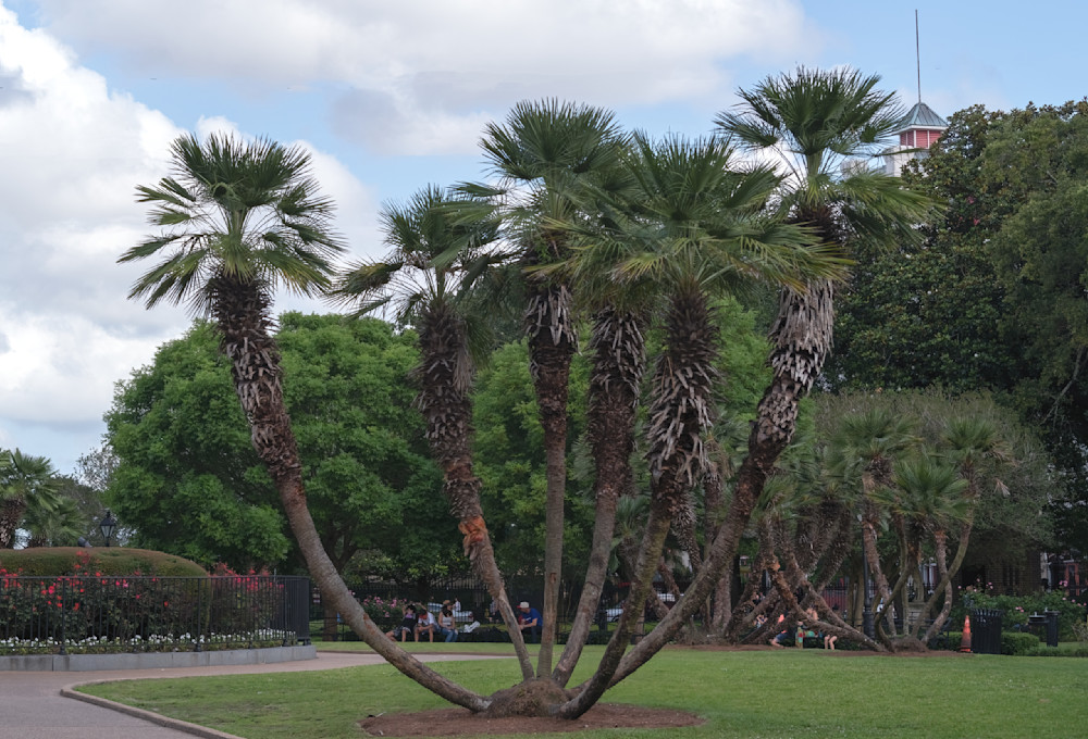 Sitting In Jackson Park Best Photography Art | Photoeye Inc