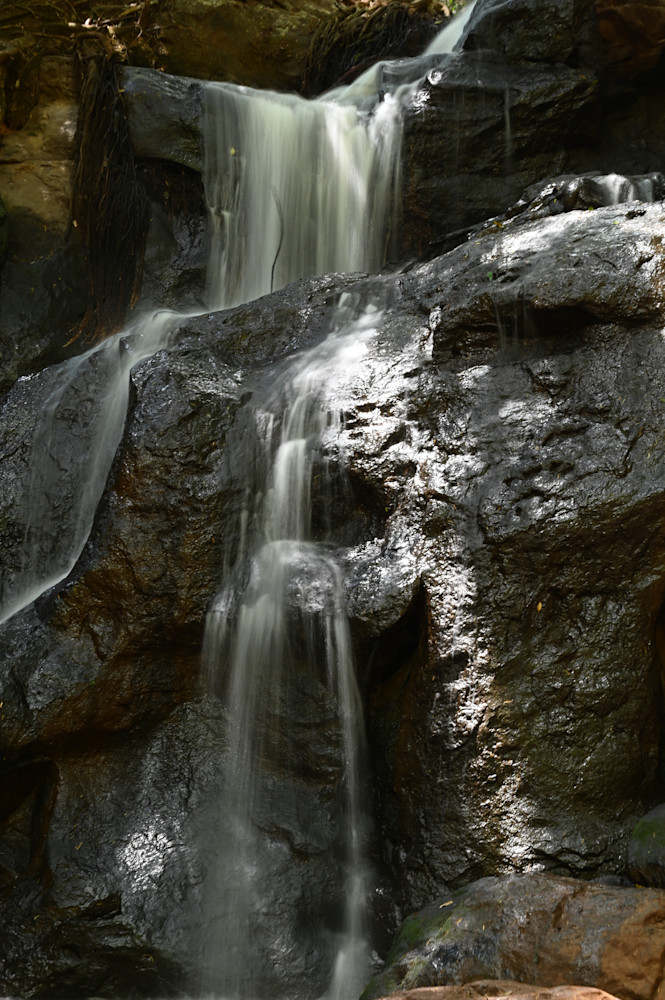 Sacred Waterfall Karura Forest Kenya Photography Art | Michael J. Reinhart Photography